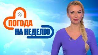 Беларусь накроют дожди! | Погода в Беларуси с 29 декабря по 4 января | Плюс-минус