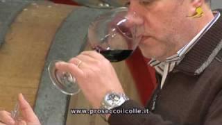 WEIN PROSECCO IL COLLE (Italien-Veneto-Treviso)