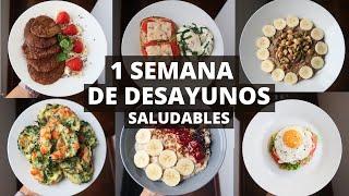 DESAYUNOS SALUDABLES PARA UNA SEMANA | Michela Perleche