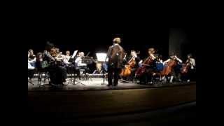 Rose Marji in the Open Jordanian Youth Orchestra at Al Hussein Cultural Theatre -