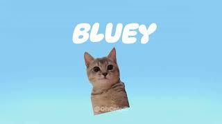 CAT MEMES: BLUEY INTRO BUT ITS CATS