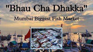 Fish Market In Mumbai | Bhaucha Dhakka Fish Market