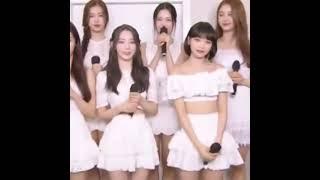 Wonyoung interaction with Sakura and Chaewon *IZONE CRUMBS* 
