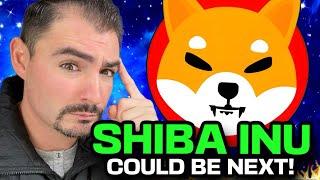 SHIBA INU (URGENT MESSAGE TO SHIB HOLDERS!)