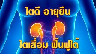 ความรู้เรื่องโรคไต สาเหตุ อาการ วิธีรักษาไตวาย ไตดีอายุยืน
