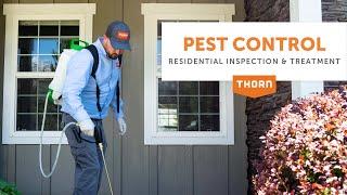 Keep Your Home Pest Free with Thorn Pest Solutions