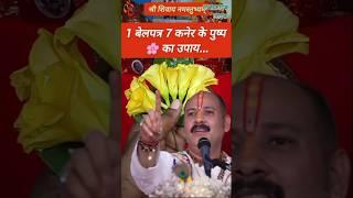 1 बेलपत्र 7 कनेर के पुष्प का#उपाय ️।#pandit_pradeep_ji_mishra #upay #katha #mahadev#mahakal #shorts