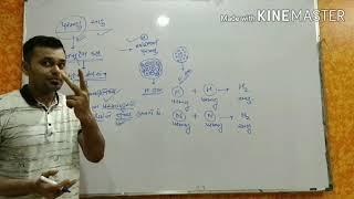 Std-11, Basic concepts of chemistry..