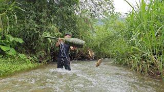 Making freshwater fish traps from bamboo. Primitive life.