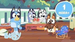 AO VIVO: Contos Bluey que toda a Família pode Curtir!  | Bluey Português Brasil Canal Oficial