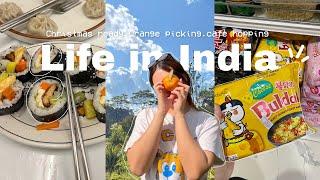 Life in Arunachal Pradesh|Orange picking day|Christmas ready|birthday care package