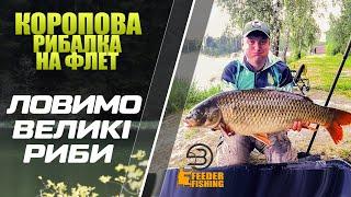 Коропова рибалка на флет \ Нічні трофеи #fishing