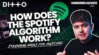 How Does the Spotify Algorithm Work? Streaming Hacks for Musicians | Ditto Music