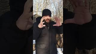 Коварные Бобры которые забираются на деревья