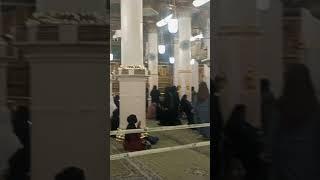 Riaz ul Jannah ladies side/riyad ul jannah #riazuljannah #rozaerasoolﷺ #roza #shortsfeed#madinahlive