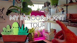 My Succulent and Indoor Plant Garden Tour!