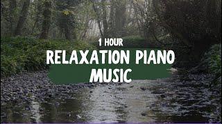 Relaxing Piano, 1 Hour of Soul Music, Piano Music for the Soul, Calm and Relaxing, Nature