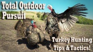 How to hunt wild turkeys -Spring Gobbler Turkey hunting tips & tactics!