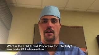 What is the TESE/TESA Procedure for Infertility?