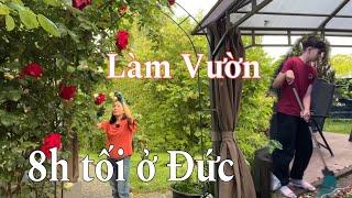 8 giờ tối hai mẹ con đi làm vườn | Người Việt ở Đức | Cuộc sống nông thôn ở Đức