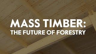 Mass Timber: The Future of Forestry | Keeping Forests