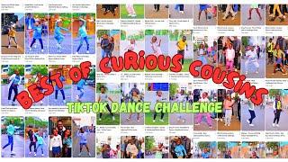 BEST OF CURIOUS COUSINS - URBANTONE,BONGO,RIDDIM X AMAPIANO(TIKTOK DANCE CHALLENGE)