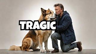 Animal Protection Fail | The Tragic Truth About Animal Rescue | Pawsitive Personals