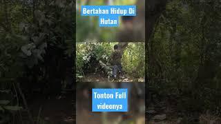 Bertahan Hidup di Hutan belantara | membangun Shelter ditengah Hutan #camping #bertahanhidup