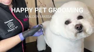 Happy Pet Grooming - Diana Paiva Groomer Malden Massachussets