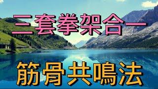 適中總院“陳適當師父                      演練：鄭子太極拳（3套拳架）          ️需專業師父教導#taijiquan