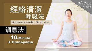 10分鐘 調息法【經絡清潔呼吸法】Pranayama  #調息法 #鼻孔交替呼吸法 #NadiSodhanaPranayama