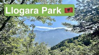 LLOGARA NATIONAL PARK  | Hiking | Albania