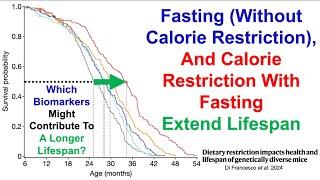 Fasting (Without Calorie Restriction) And Calorie Restriction With Fasting Extend Lifespan