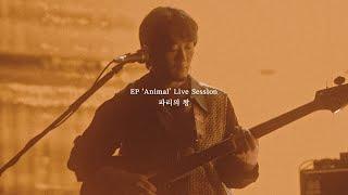 THORNAPPLE(쏜애플) -'Lord of the Flies' (EP 'Animal' Live Session)