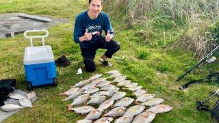 Fall Surf Perch Fishing Ocean Shores WA Coast