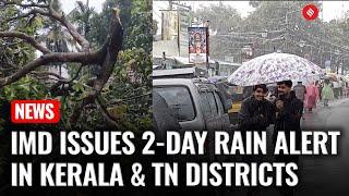 Heavy Rains: Kerala and Tamil Nadu Districts Under Red Alert