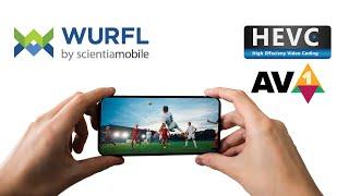 Device-Aware OTT Video Benefits and ROI Demonstration Model, HEVC, AV1, VVC