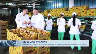 Как выращивают огурцы и томаты в Черкесске.  Сделано в России РБК