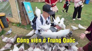 Trung Quốc gây shock thị trường khi tung ra tour cực rẻ thu hút khách Việt Nam đến tỉnh miền núi