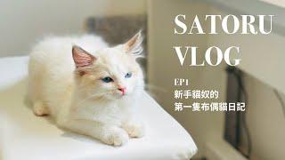 【SATORU Vlog EP01】新手貓奴的第一隻布偶貓日記