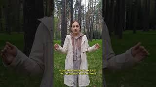 Программирование жизни #психология #психотравма #психолог #саморазвитие #личность