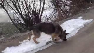 Нашел тайник наркомана . наркотики уничтожил - Лпх Дом Велеса - жизнь за городом