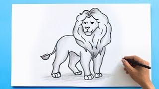 Lion Drawing