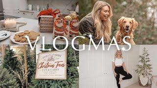 VLOGMAS 7  Festive trip to the garden centre & Daylesford haul