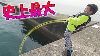 史上最大のパニック!!【堤防の巨大魚】