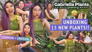 HUGE UNBOXING!! 15 NEW DELIGHTFUL HOUSEPLANTS  super common to very weird  GABRIELLA PLANTS