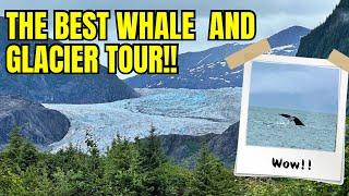 Juneau Whale Watch and Mendenhall Glacier Tour | Juneau Excursion