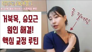 효과 만점!! 목, 어깨, 승모근 통증 해결하고 목도 길어지는 셀프 마사지+ 스트레칭 루틴)) 거북목, 라운드숄더 교정 ,두통, 목 디스크 예방