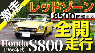 【ホンダ S800】全開走行▶レッドゾーン8500回転！老舗チューニングショップがフルチューン！走行テストを大公開　S660のご先祖！1966年式 旧車 HONDA S800