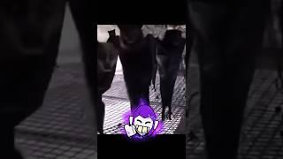 Mortis HYPERCHARGE | #shorts #brawlstars #meme #memes #brawlmemes #hypercharge #fyp #tiktok